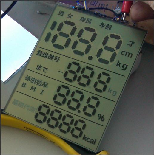 数字显示LCD产品 LCD液晶屏-TN